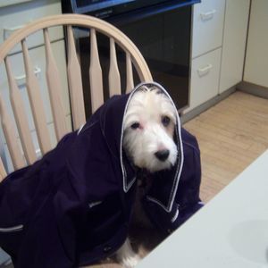 Meet your Posher, Myra